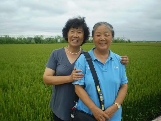 二,知青联谊主管超版回顾往事『东北黑土地』→回访建三江