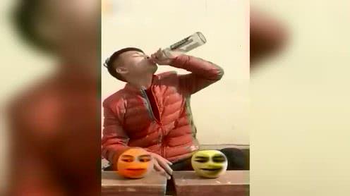 小橙子向主人拜年，小苹果又惹主人暴力了，太搞笑了!