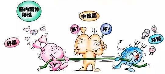 小儿腹泻危害大