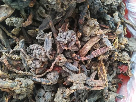 中草堂一斤装不老草回春草顶天柱草苁蓉补肾泡酒无硫足干
