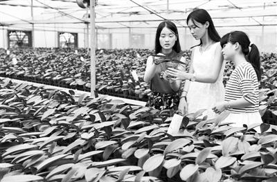 科研,教学和农业休闲体验为一体的大学生农业创业园已初具规模,为培养