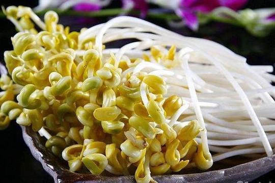 豆芽种植网,豆芽种植项目分析,种豆芽创业可行性与及