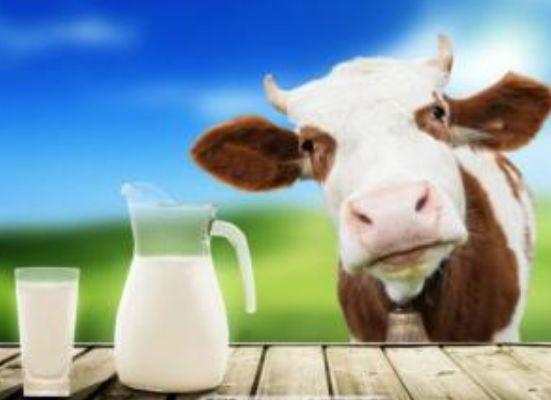 春季孩子吃什么长高快