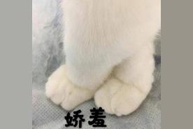 云层记忆(王忻辰)