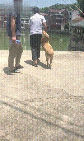 大宝宝不愿意洗澡怎么办