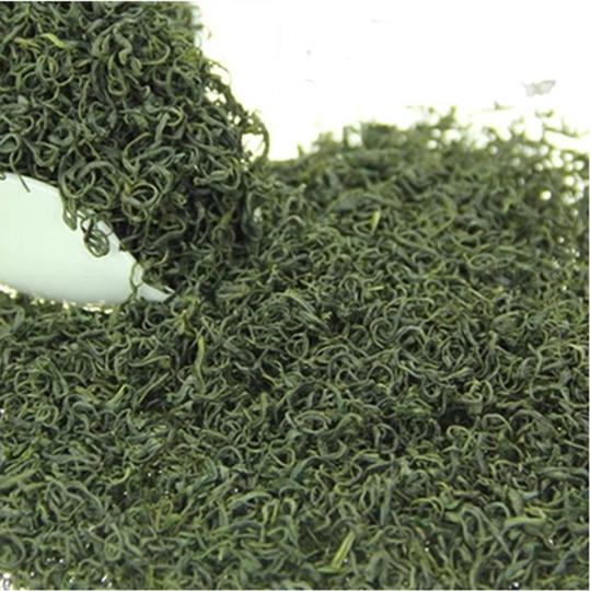 浏览淘宝2019日照绿茶新茶叶高山云雾散装春茶炒青浓香耐泡型500g绿茶批发价格