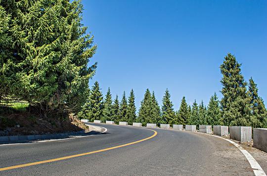 森林道路_图片大全—全景创意图库（quanjing.com）中国领先的正版图片视频素材网站