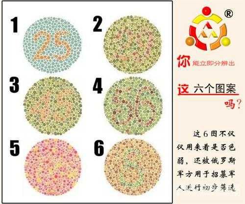 色盲和色弱有什么区别吗