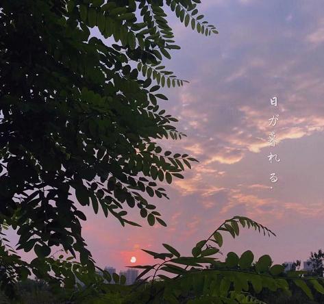 还在用土俗的背景图？“天空背景图”以上线，张张治愈你的玻璃心