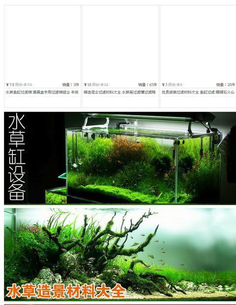 水草精 什么梗