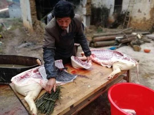 冬季农村最赚钱的职业,天天喝酒吃肉,还能月入上万元