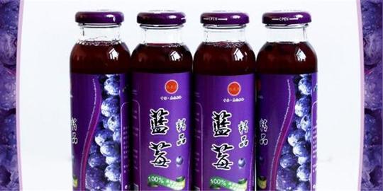 化生产车间,引进先进的蓝莓饮料及食品加工生产线,以大兴安岭特有的