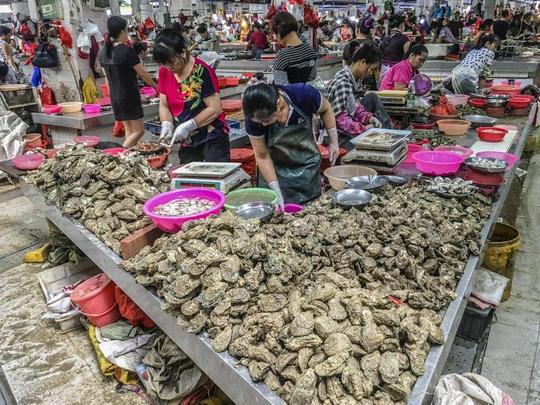 谁说北海生意难做?我卖生蚝一晚就能赚1000元