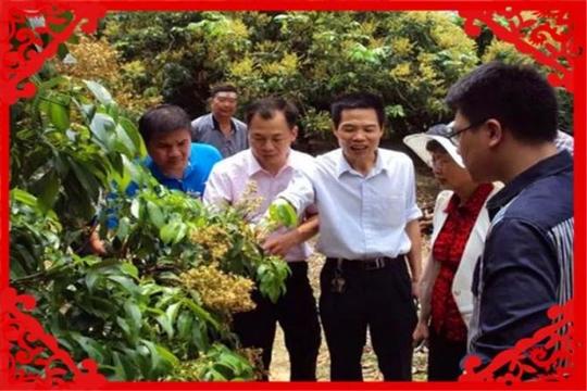 新知达人,打工者在城市工作不好找，回农村可以做哪些小生意维持生计?