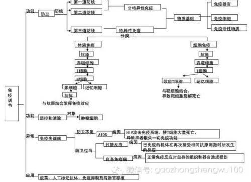 暑期大脑充电高中生物必修三知识框架图