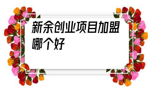 新余创业项目加盟哪个好(创业项目加盟排行榜哪个前景好)