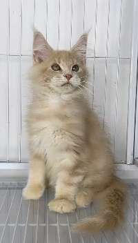 高铁上为什么没有编号E的座位