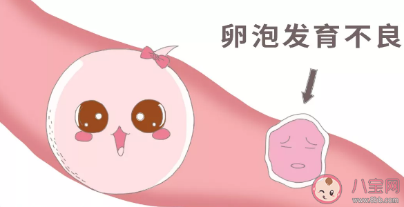卵子老化正常吗