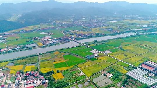 11333466航拍新农村建设乡村振兴美丽乡村高山树木河流田园高清视频素材