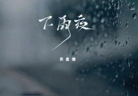 下雨夜(苏星婕)