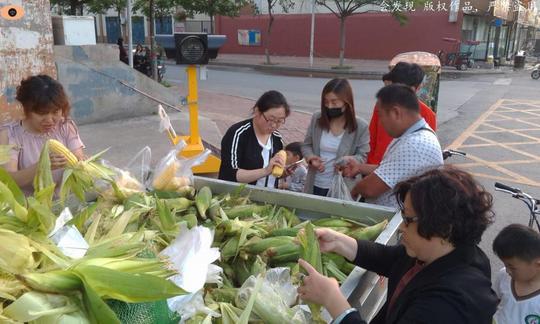 生意难做?老农一天卖一吨“水果玉米”，现场自晒:日挣2千元