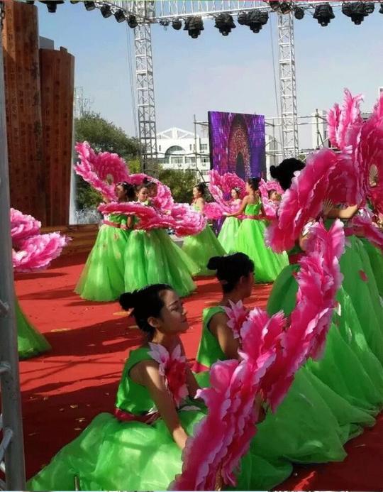 开场舞蹈牡丹花扇大花瓣舞蹈扇广场舞团体操活