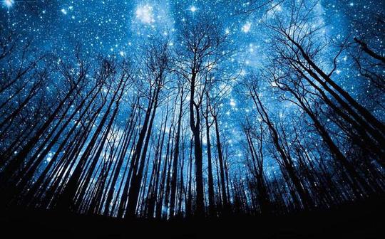 树林深处夜晚的星空繁星ppt图片素材