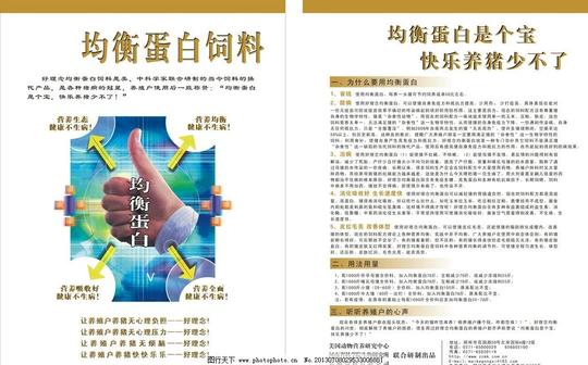 蛋白质饲料单页