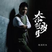 奈何岁月(海来阿木)