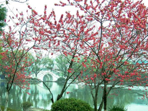 春分节气的气候特点是什么样的