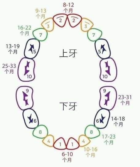 乳牙龋病是否需要治疗