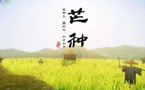 芒种节气怎么养生
