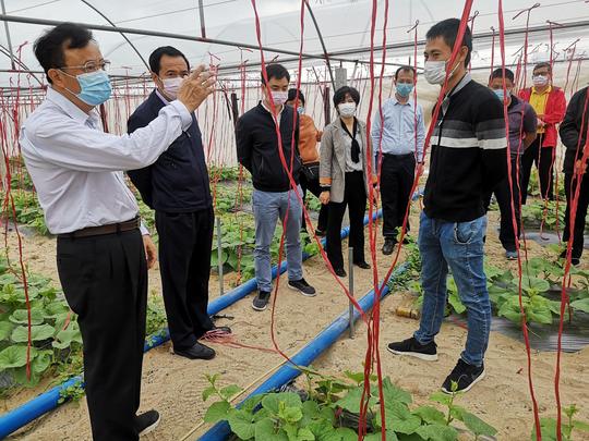 抗击疫情·复工|海南乐东黎族自治县:有序恢复重点项目建设和农业