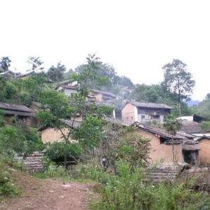福建省尤溪县联合乡下辖村