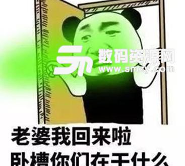 熊猫头开门表情包免费版下载(老婆我回来了)高清版