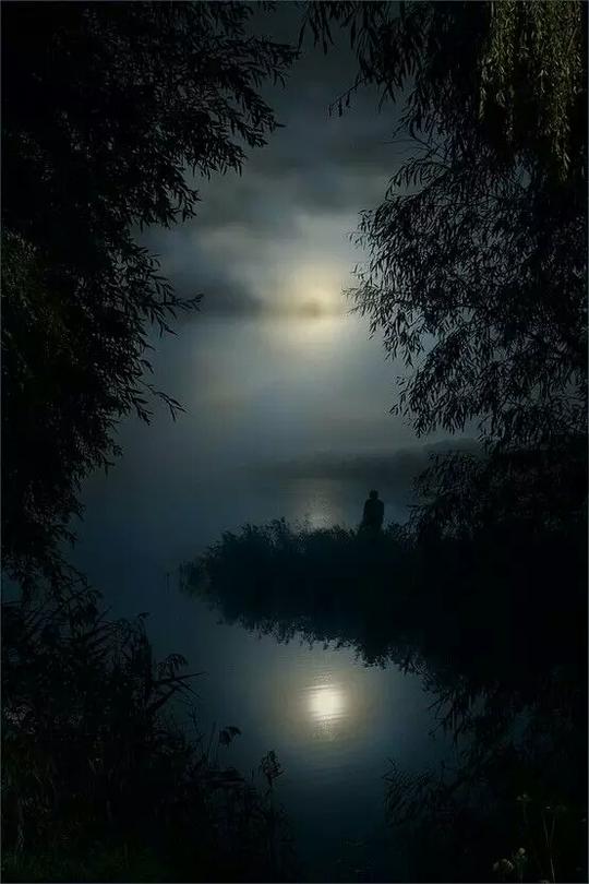 人间几多明月夜