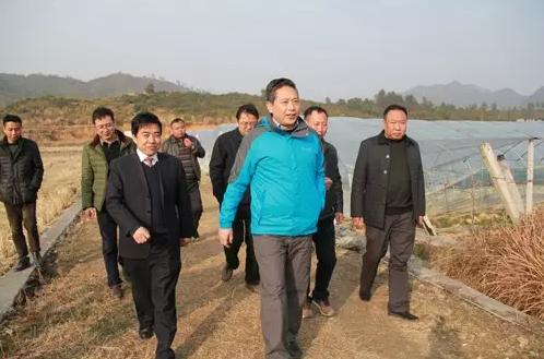 上饶郑坊镇:边贸重镇踏歌行(图)