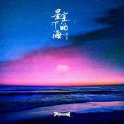 星空下的海(邓典)