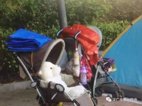 深圳:高学历夫妻带娃流浪街头数月自称创业失败(图)