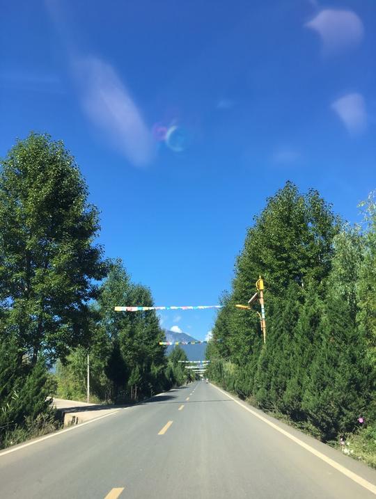车里拍路景色