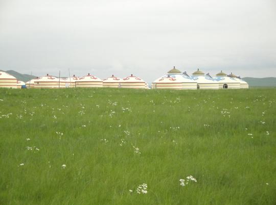 相约草原