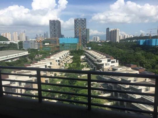 波托菲诺纯水岸香山美墅云邸中信红树湾别院伍兹公寓深圳湾一号
