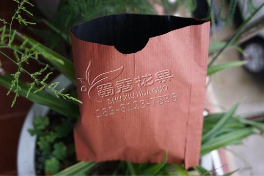 厂家直销梨袋梨树套袋桃袋子苹果袋水果梨子防虫防晒防雨果袋包邮