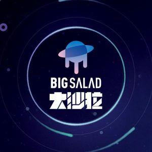 大沙拉/创业沙拉logo
