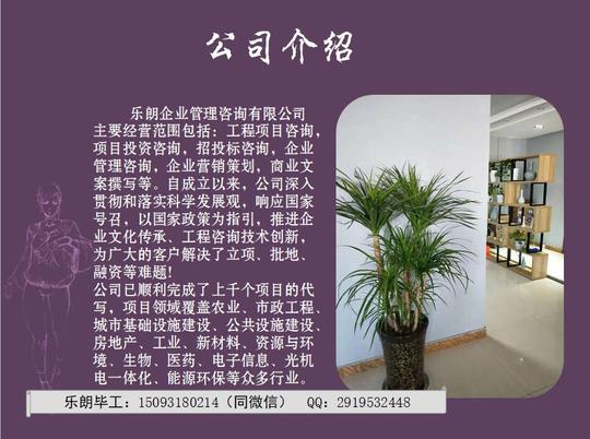 报告/投标书/节能评估报告/项目资金统筹方案/项目计划书/招商方案
