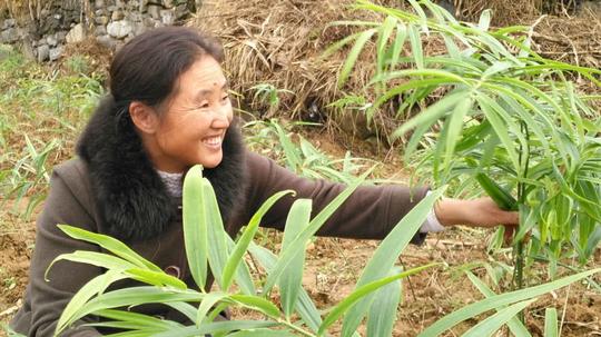 赞!47岁的农村女高甫云投资百万成致富带头人