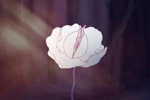 有花堪折直须折 莫待无花空折枝是什么意思 该如何理解 佛学知识网