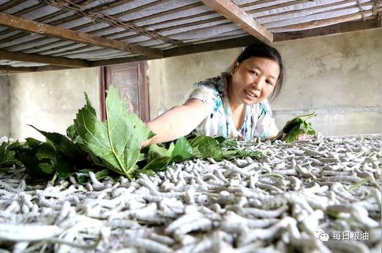 农村做什么生意好?这些项目投资小却能赚大钱!