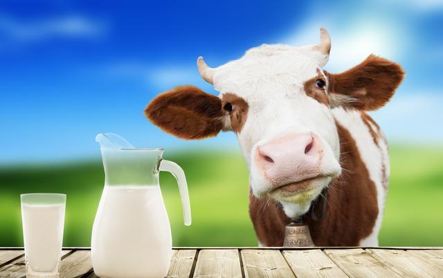 宝宝什么时候喝酸奶最好?