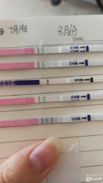 排卵检测试纸和早孕试纸有什么区别吗
